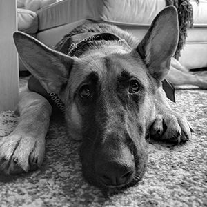 Xena